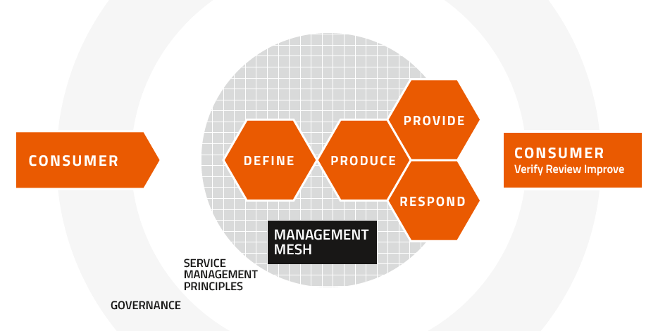 Management Mesh